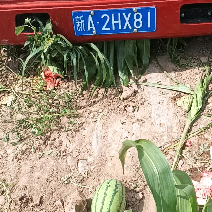 丶：