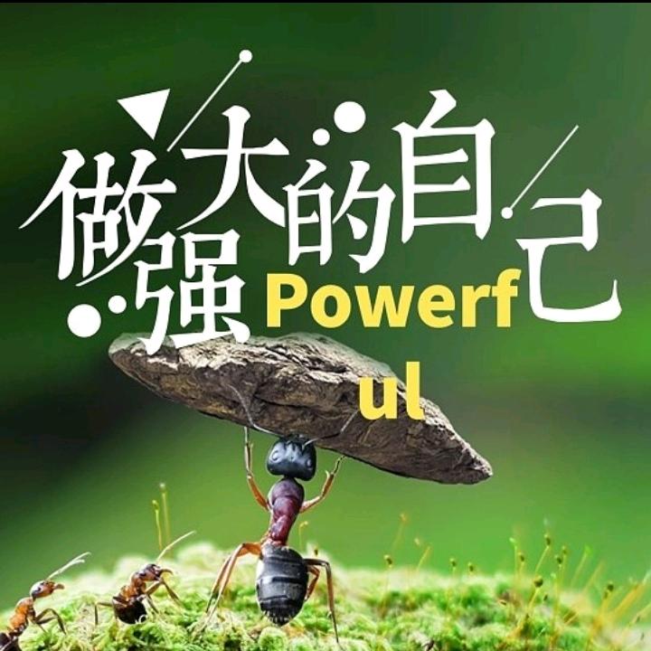 天浪哥🔥