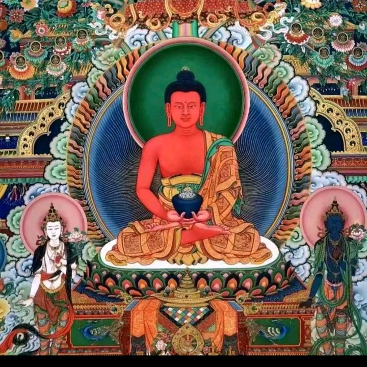 麦地男孩