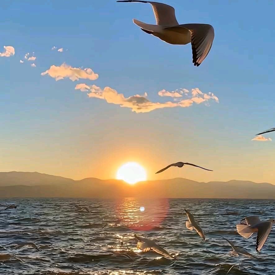 阿峰肉夹馍烤冷面