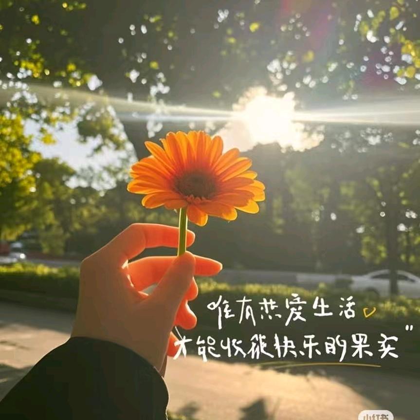 向往的生活🌻