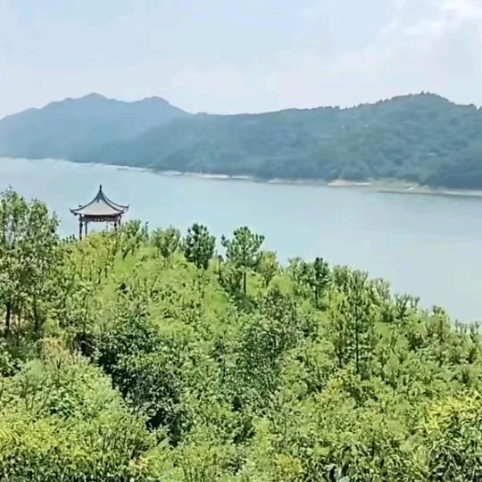 江湖好司机