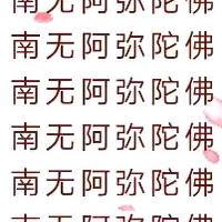 飞黄腾达三棵树总代理