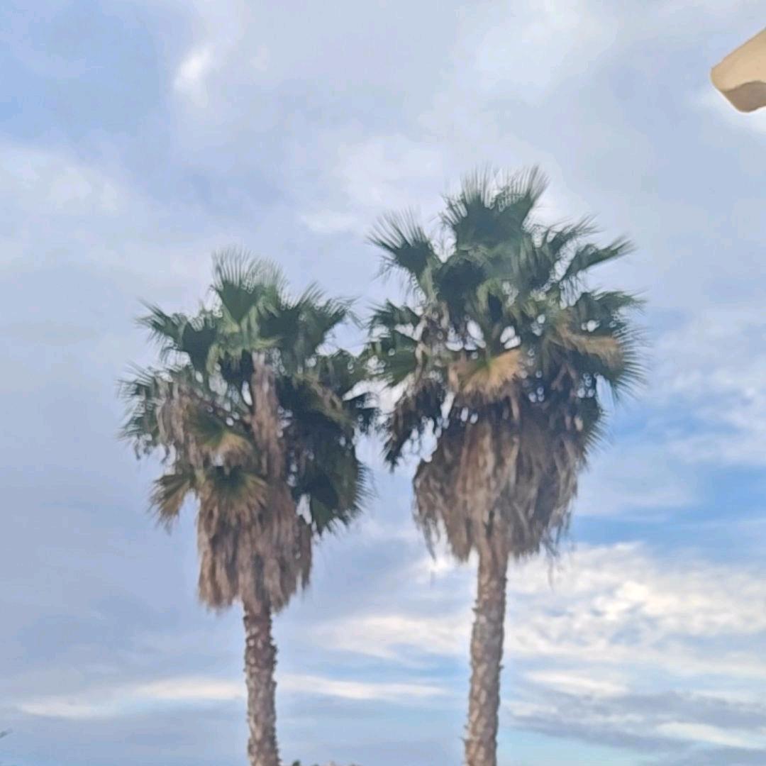 人🌸🌸🌸生🍀🍀🍀🍀拒绝连赞