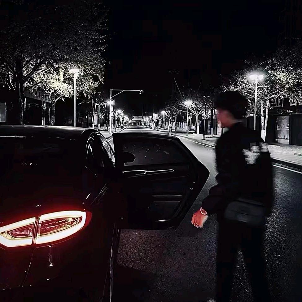 豹文