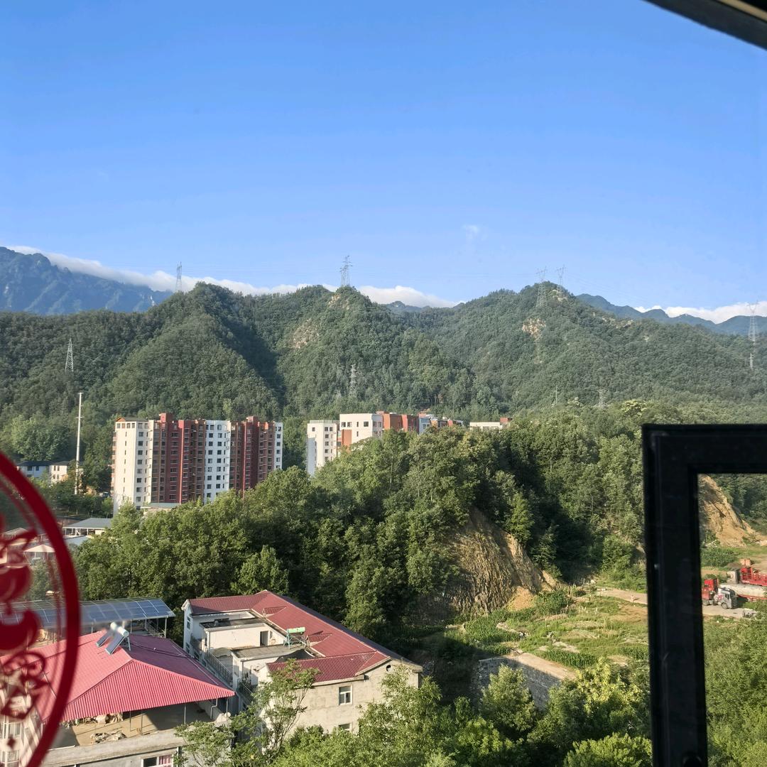 同盟大地红
