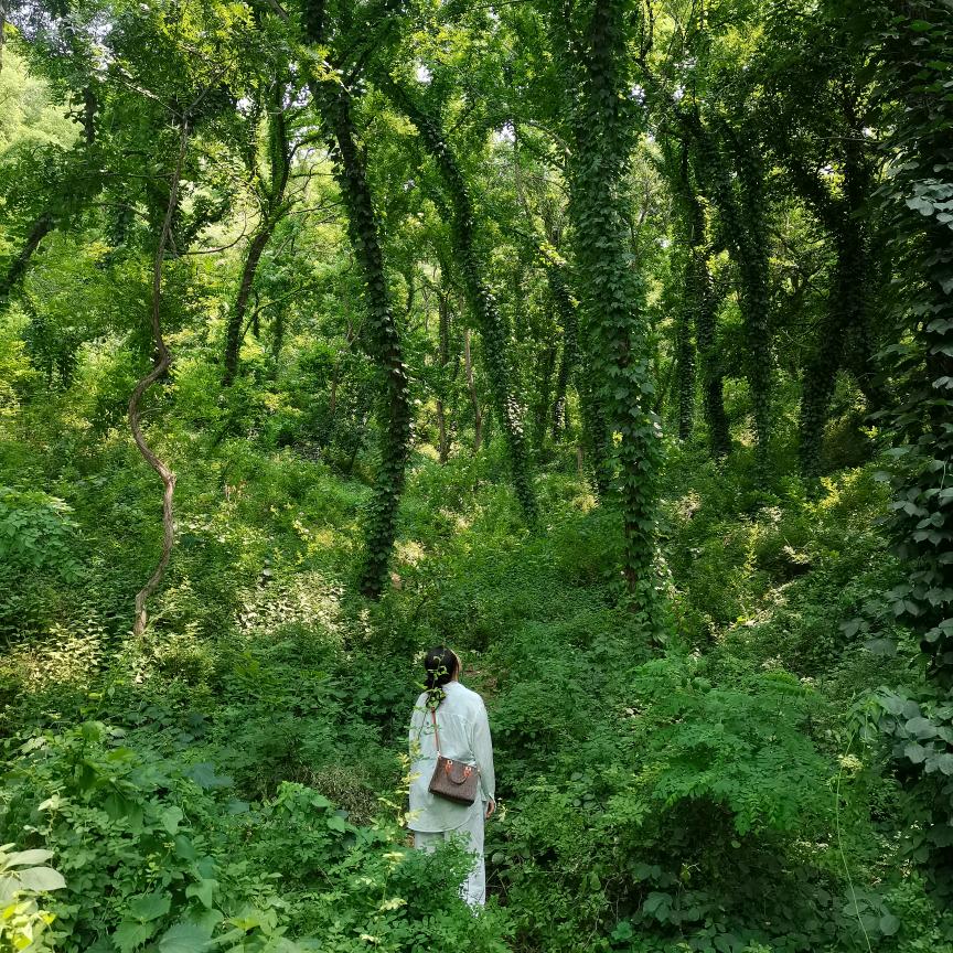 @楊姐🌈☀️