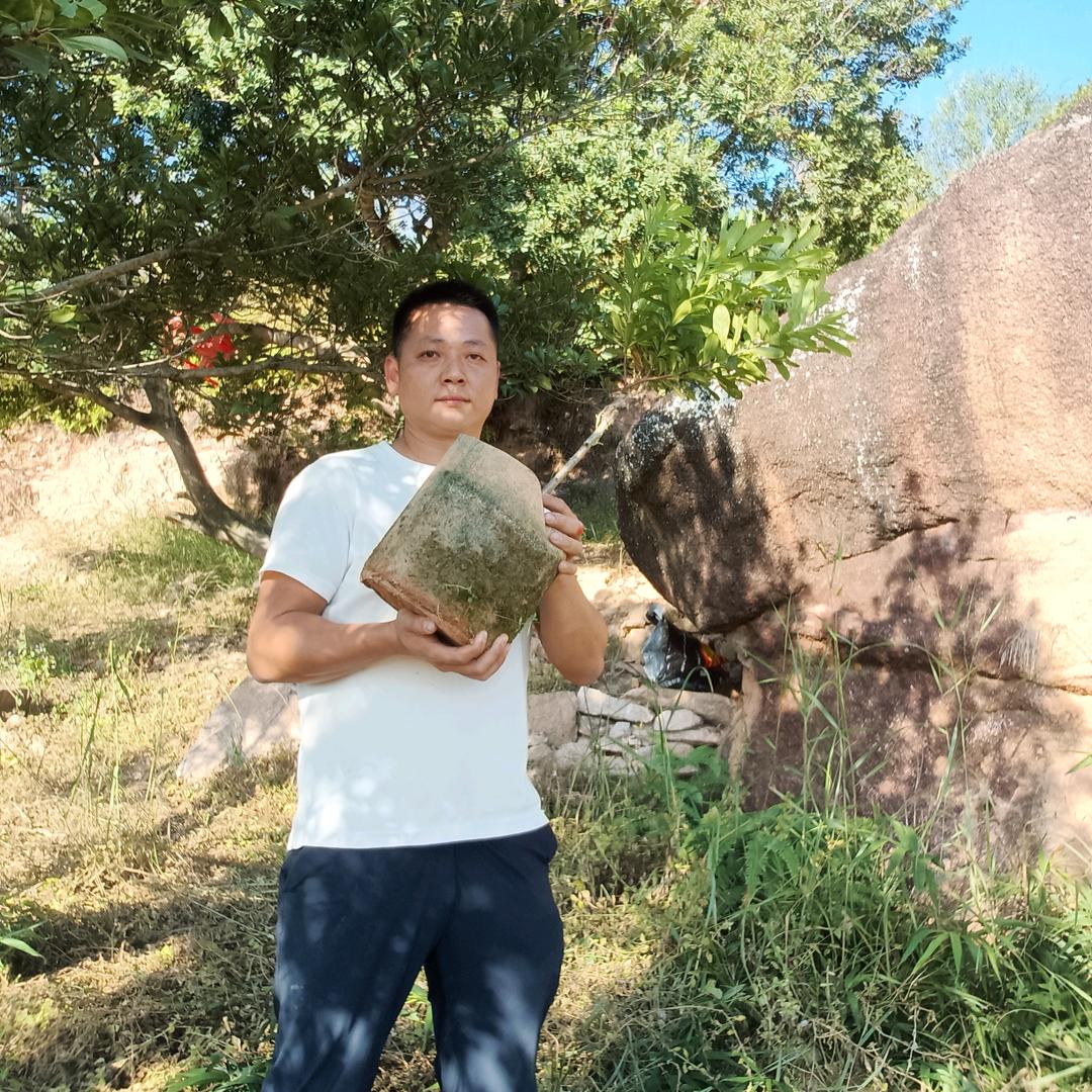 李哥（潮汕乌酥杨梅种植基地）