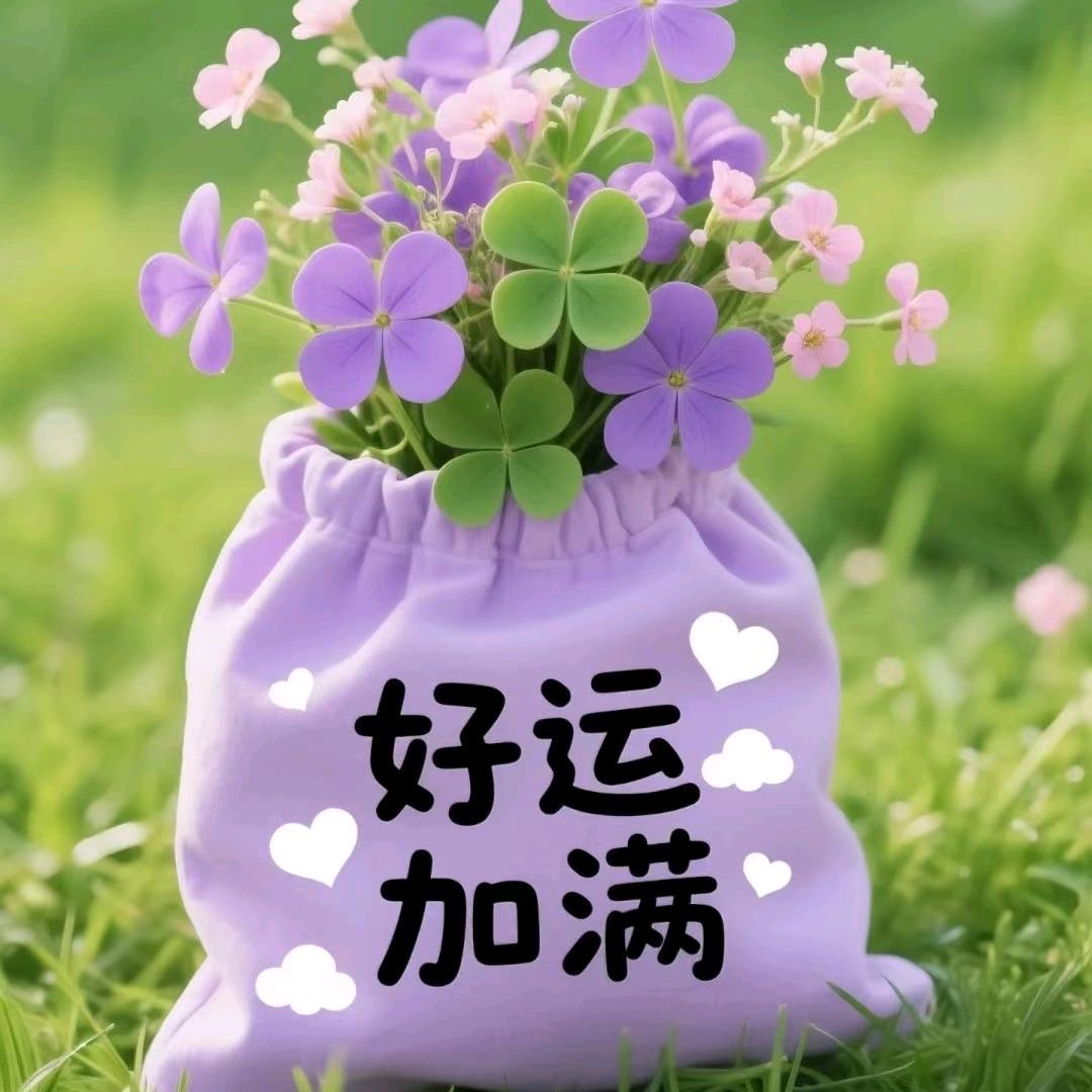 金萍果(不打PK)