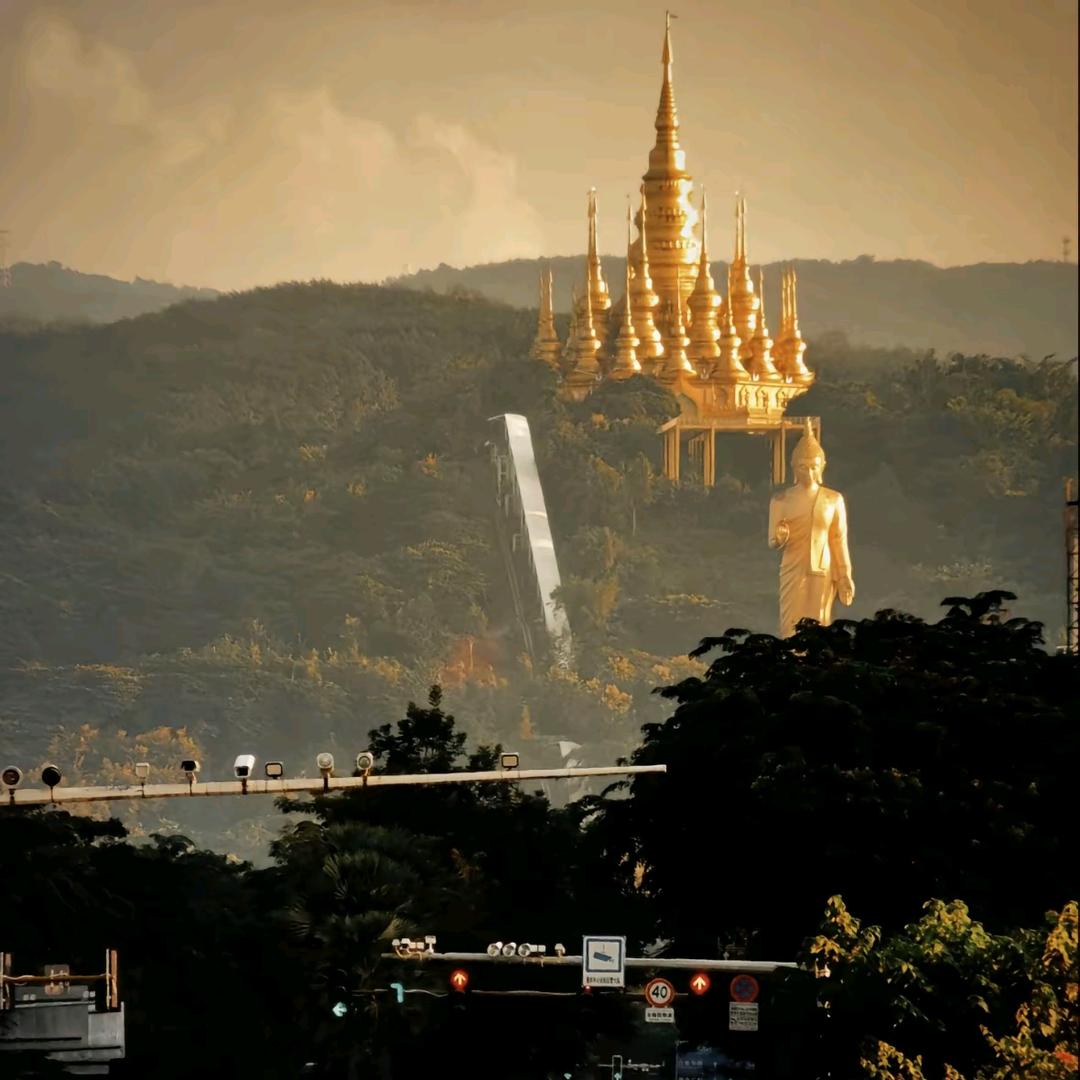 理化生音体美卫劳