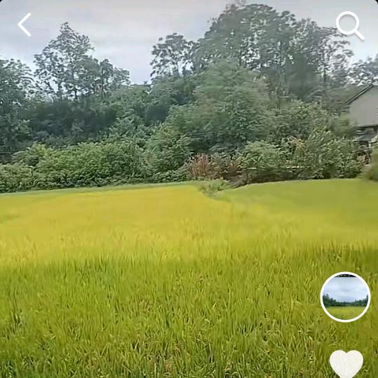 农民