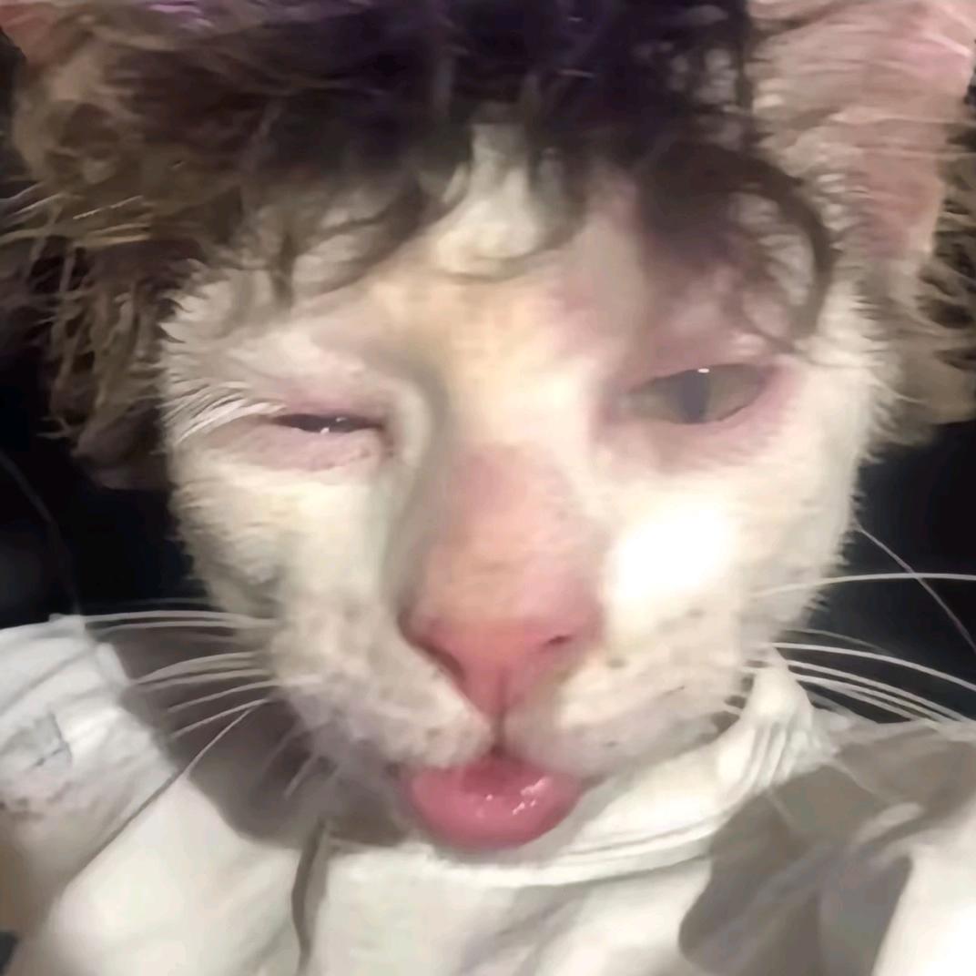 想和奇怪的你说话