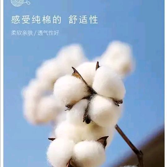 服装精选