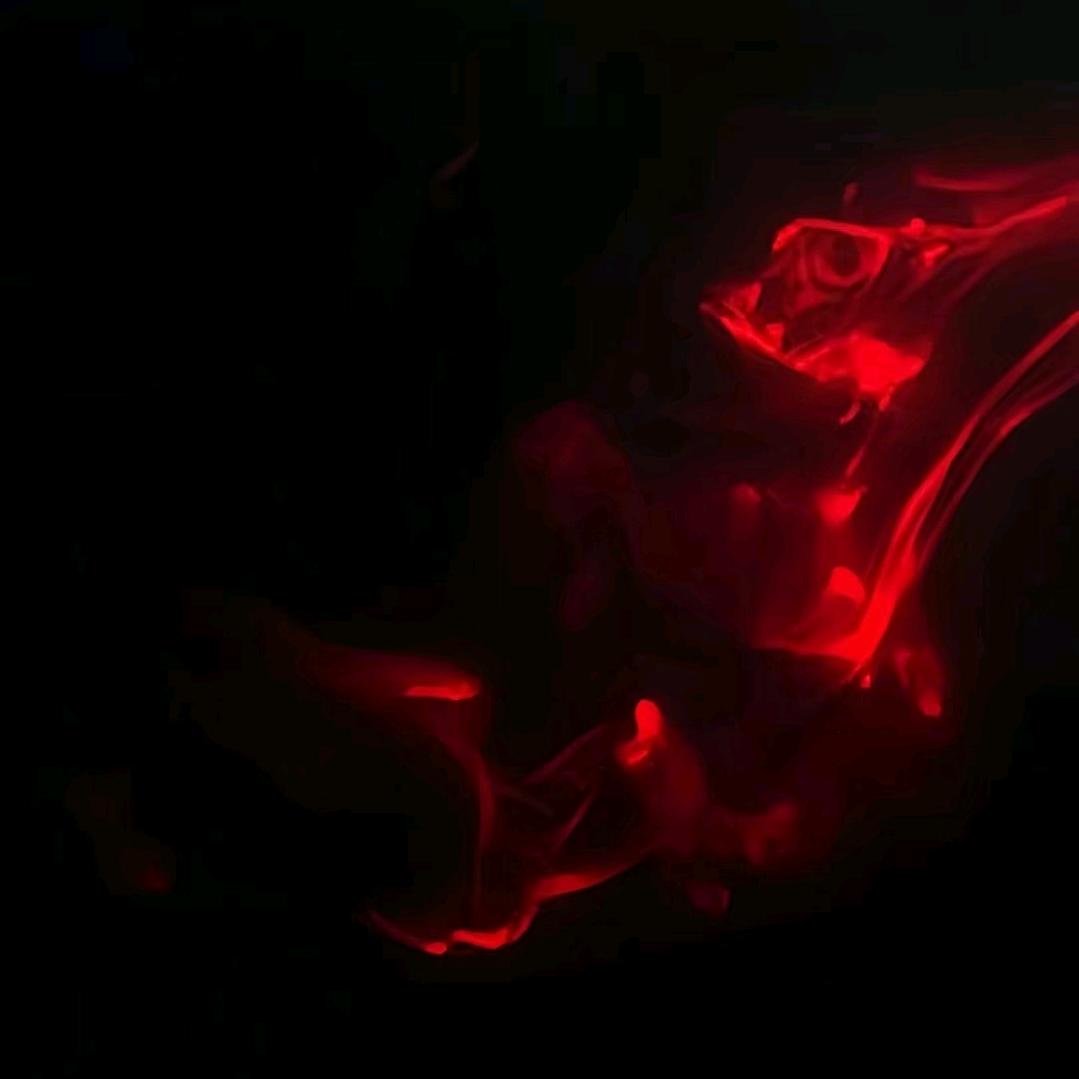 秦彻