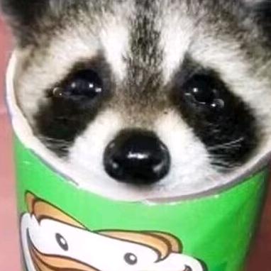 孔一零呀哈
