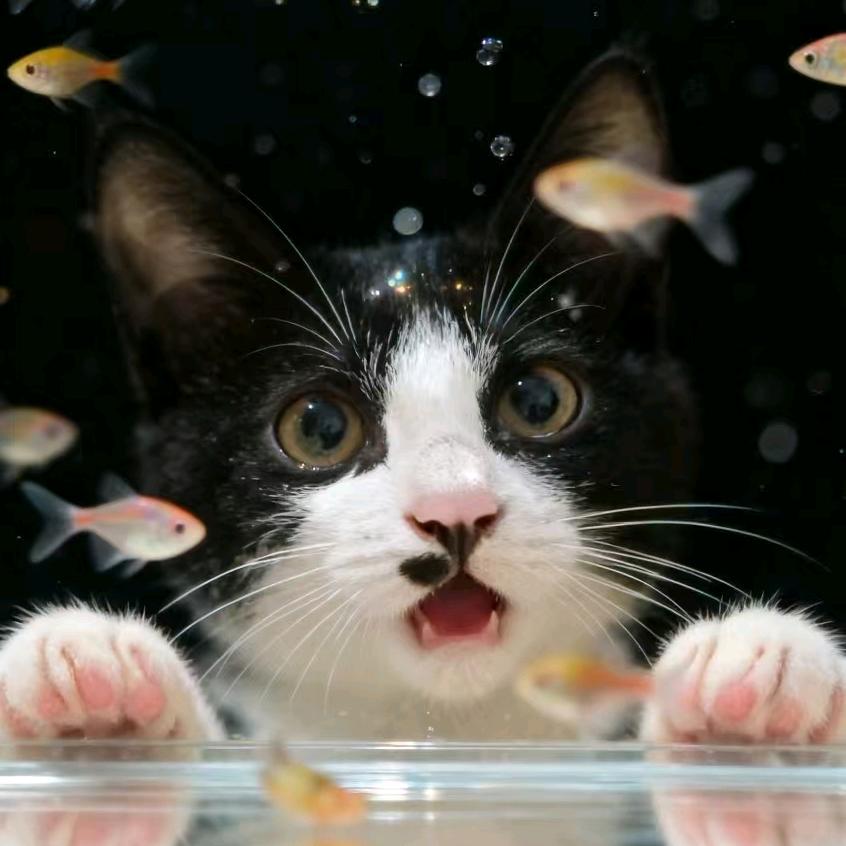 小财迷兔👧🏻✨