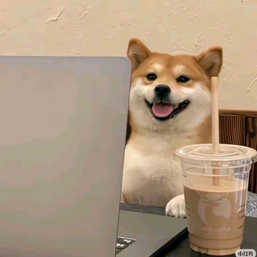 招财猫喵喵喵.