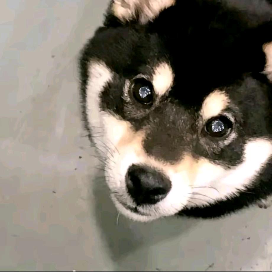 o.O？