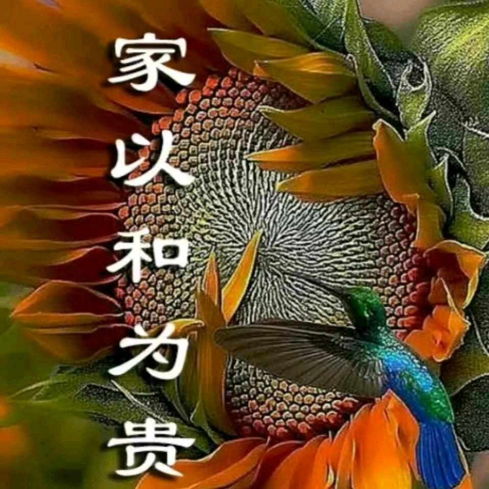 齐兆平，，