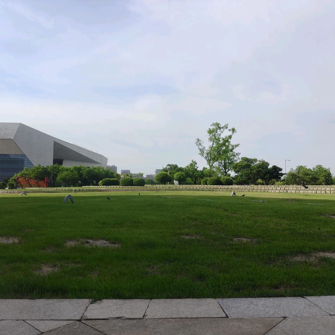 八岁龙女/能量心理