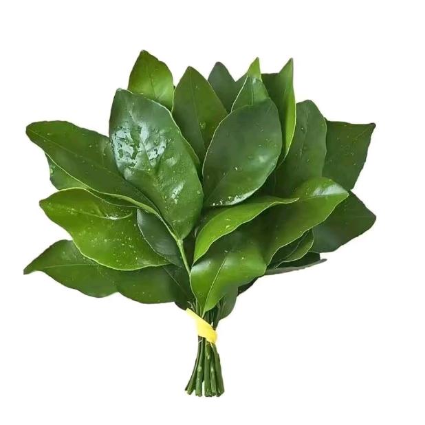 没素汁