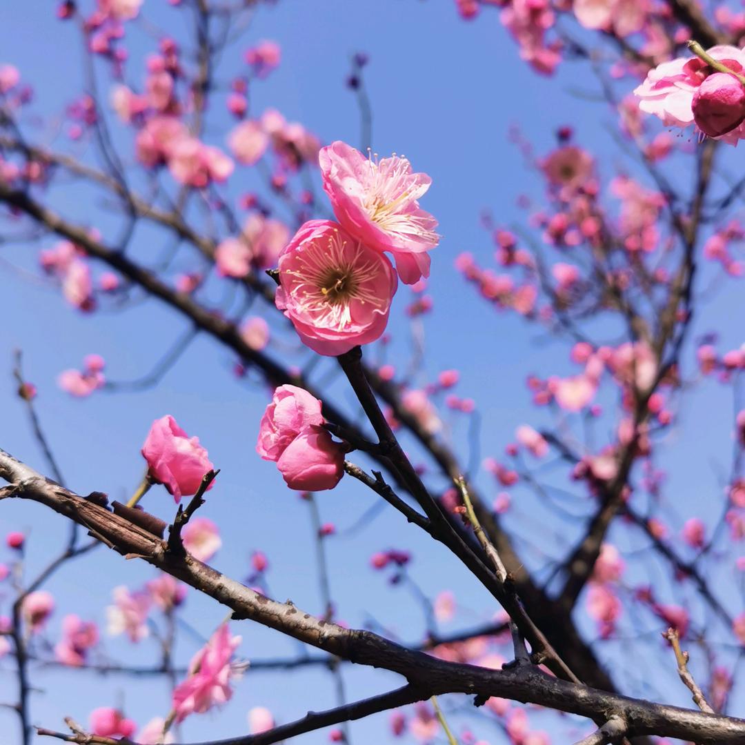 晴晴