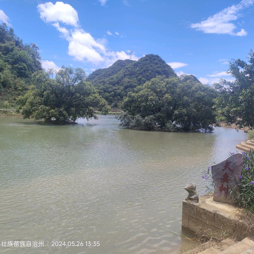晓龙，115