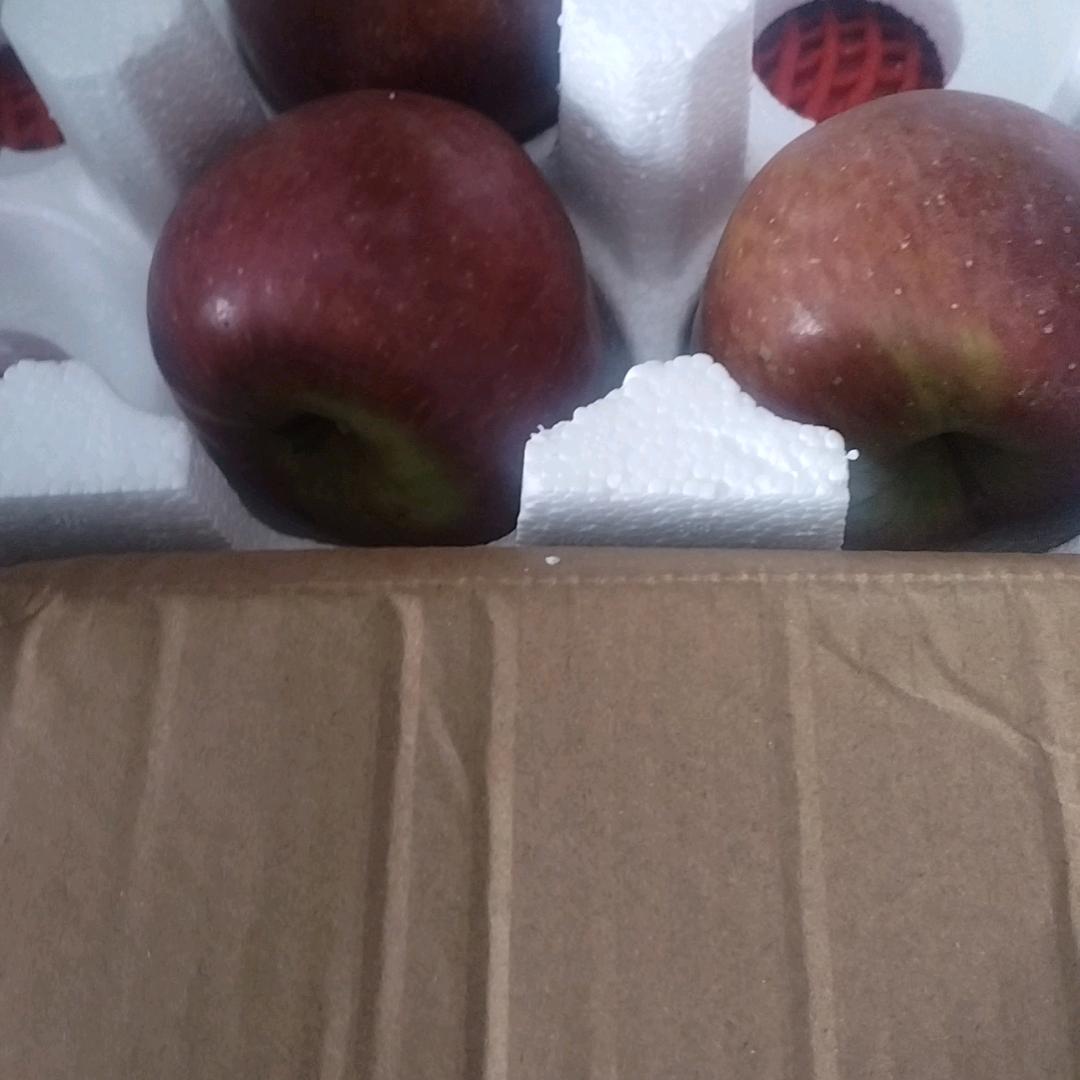 牵着蚂蚁去泡妞