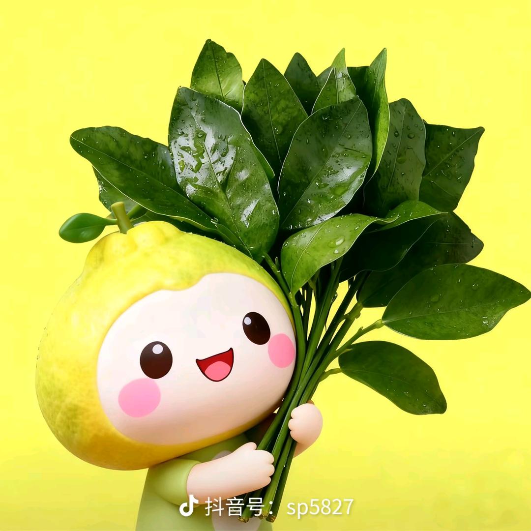 🍀🍀好运连连🍀🍀