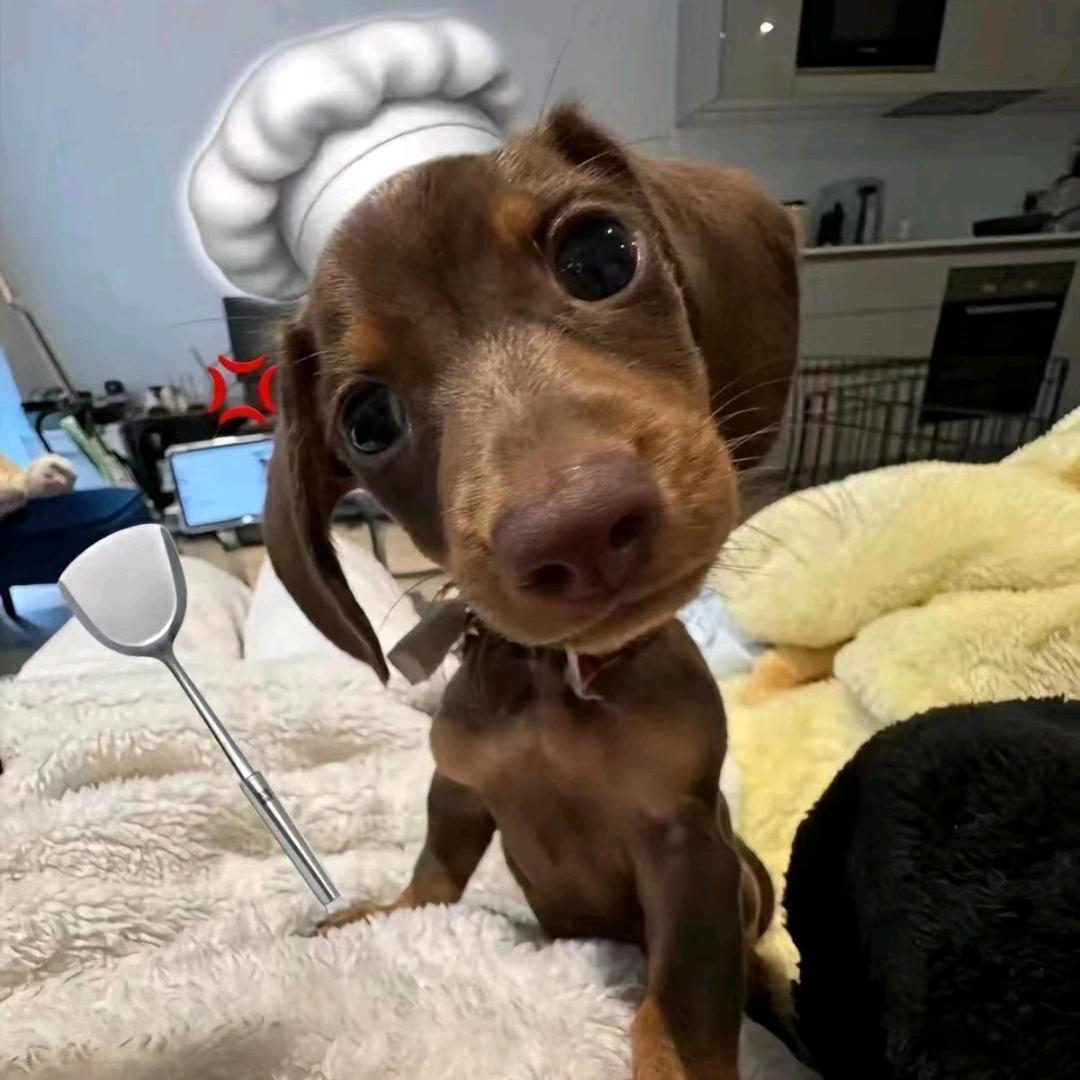 天才牛马