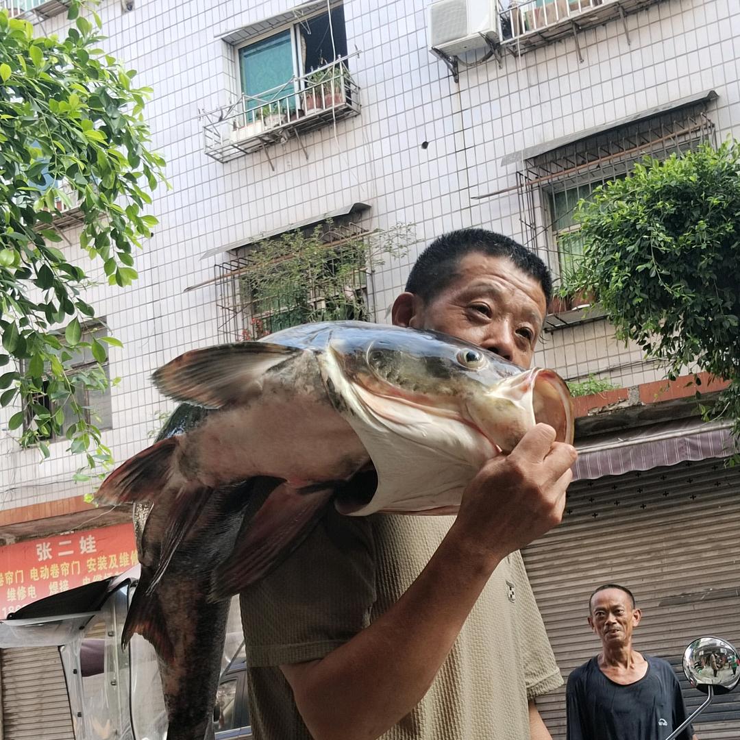 明天更美好