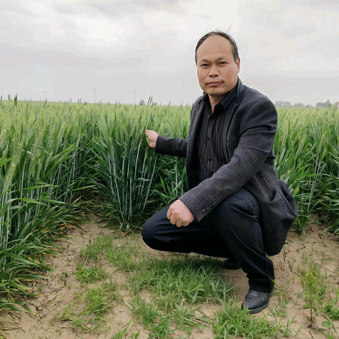 辉哥（云辉农资）早5点12分开播