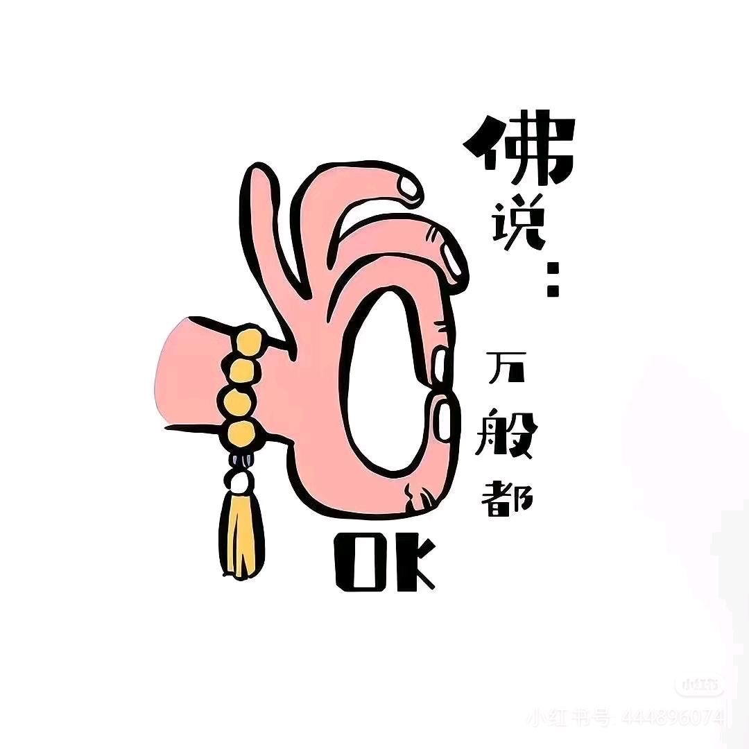 井宝宝