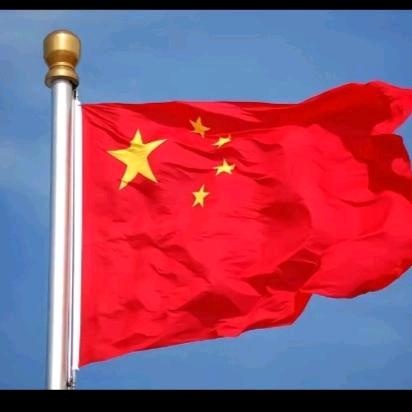 毛体至尊