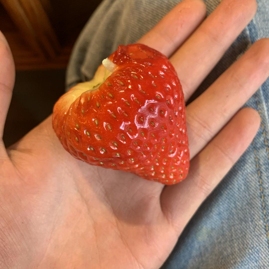 烂尾