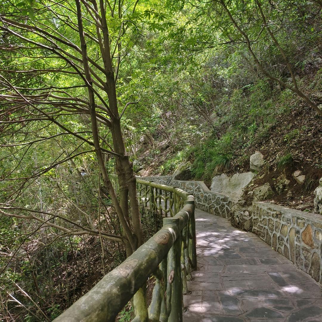 岁月