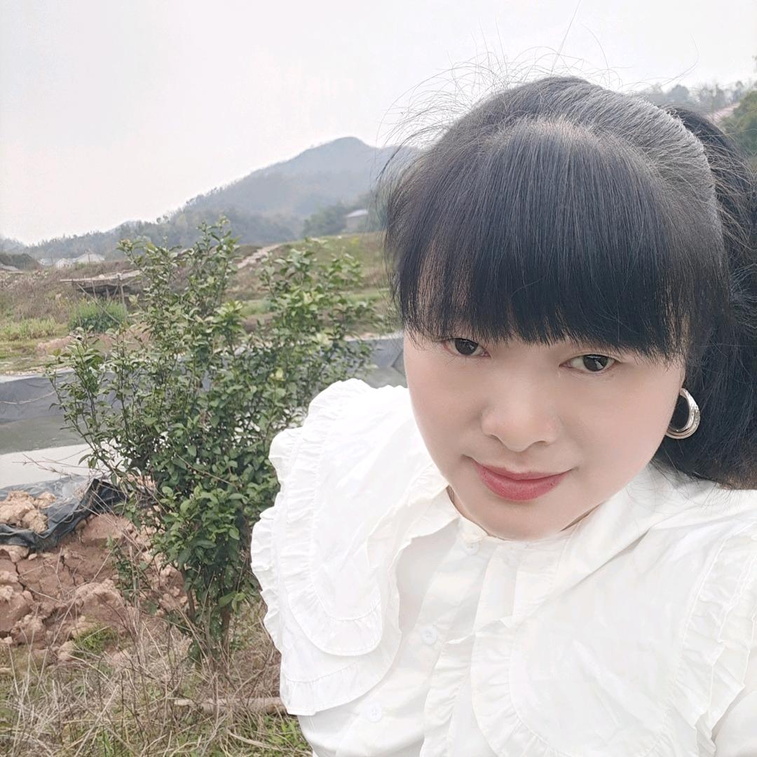 毛毛