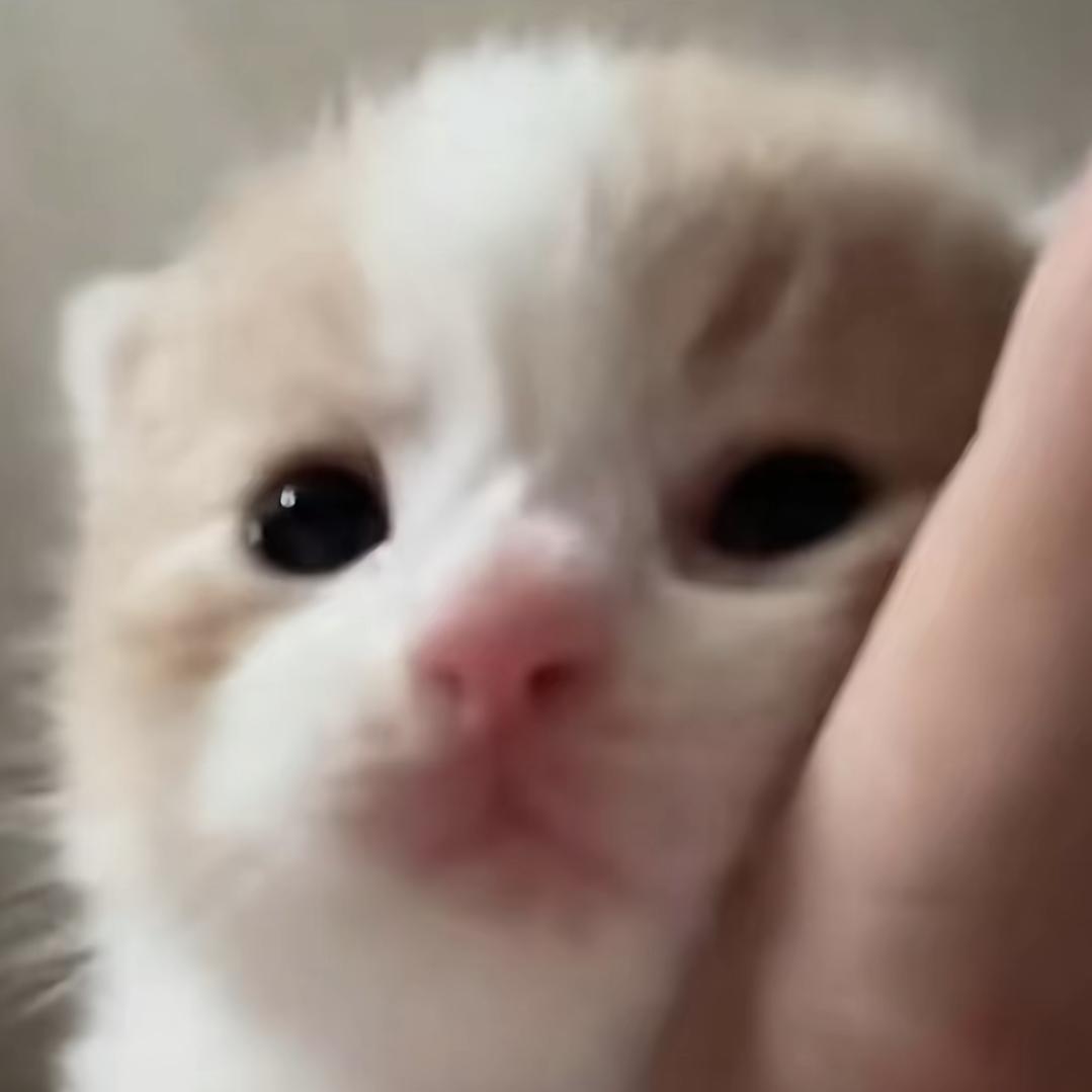 晴天.