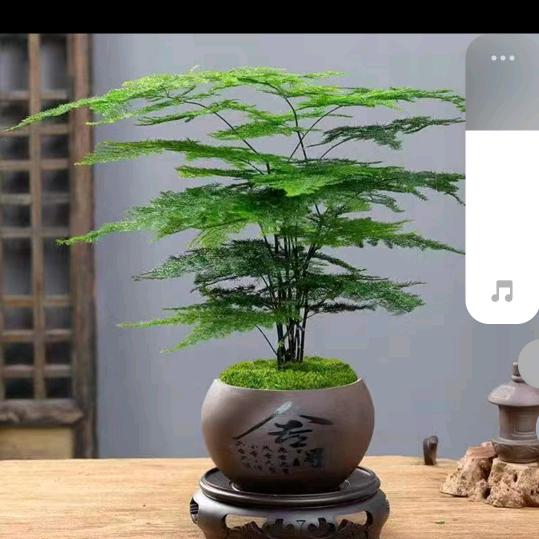 微微一笑