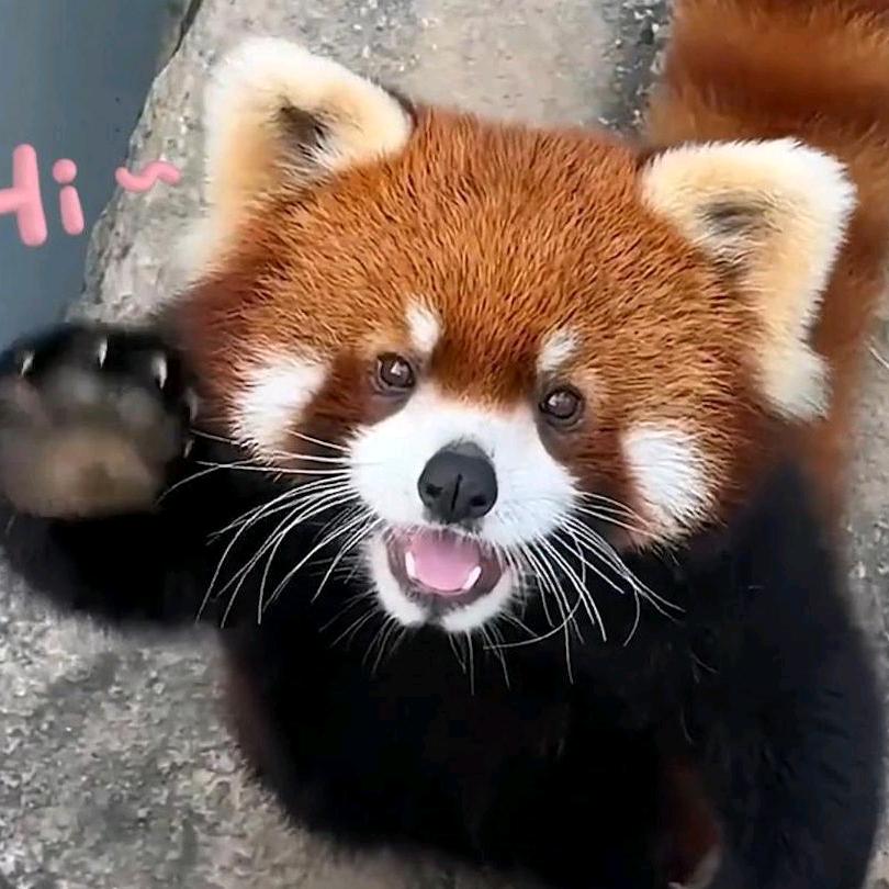 筱筱