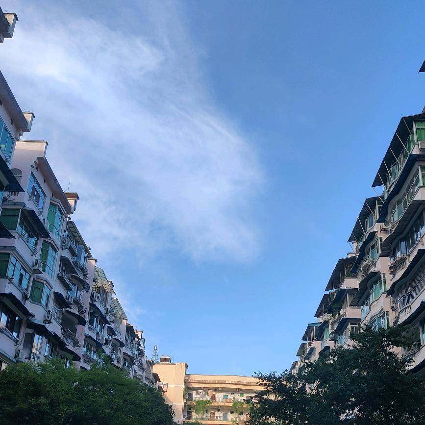 树洞星球头像