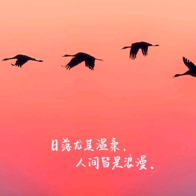 ◇◆命运へ