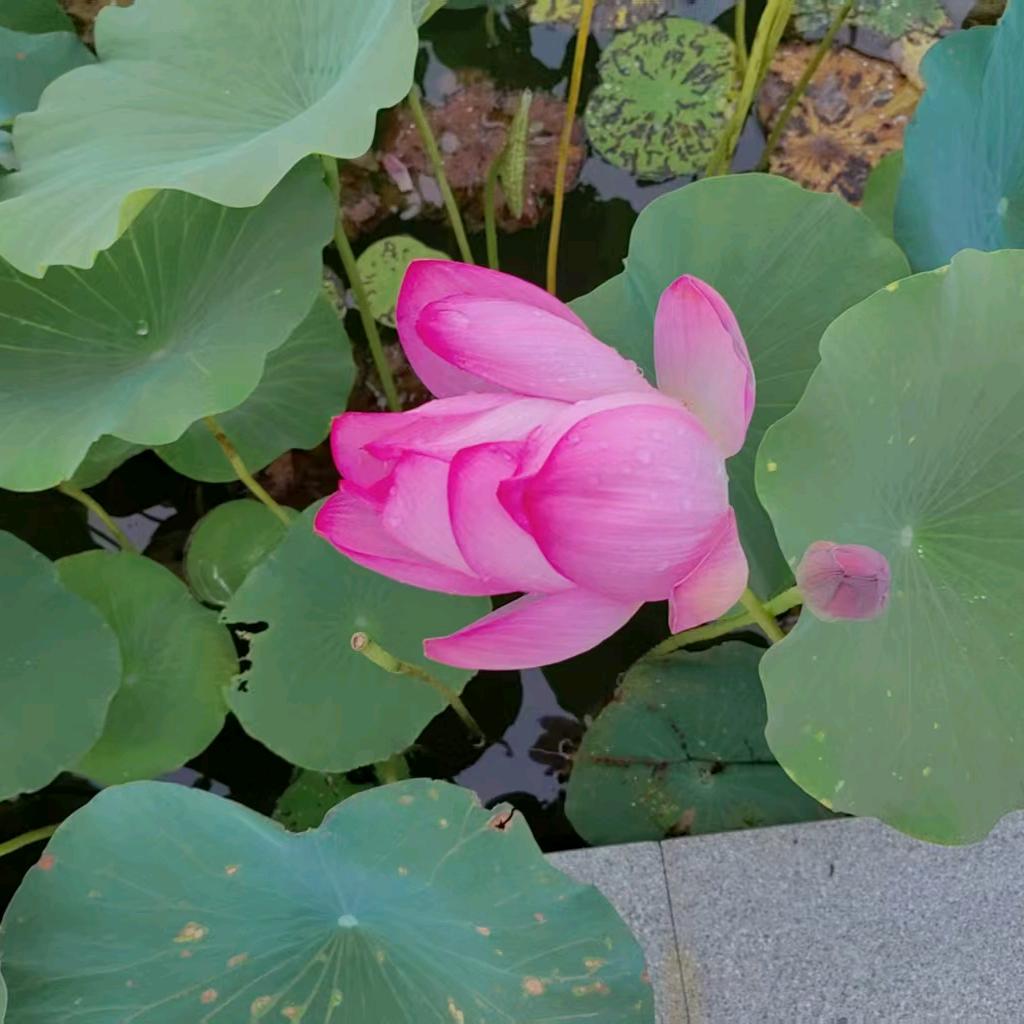 倩倩.🧚‍♀️