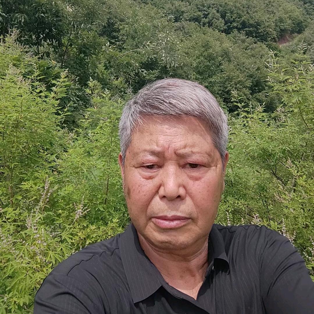 段先生1