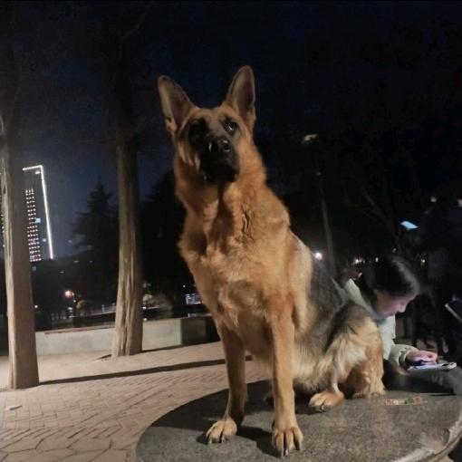 重生之我在大坝抗水泥