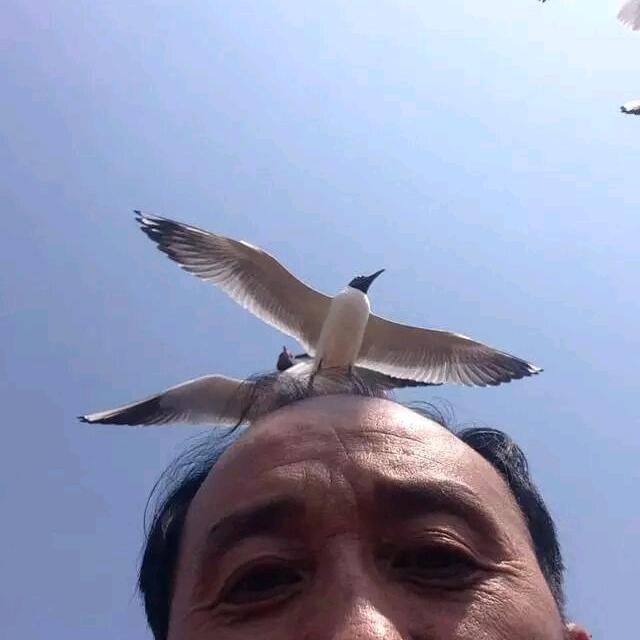 老三.好物分享