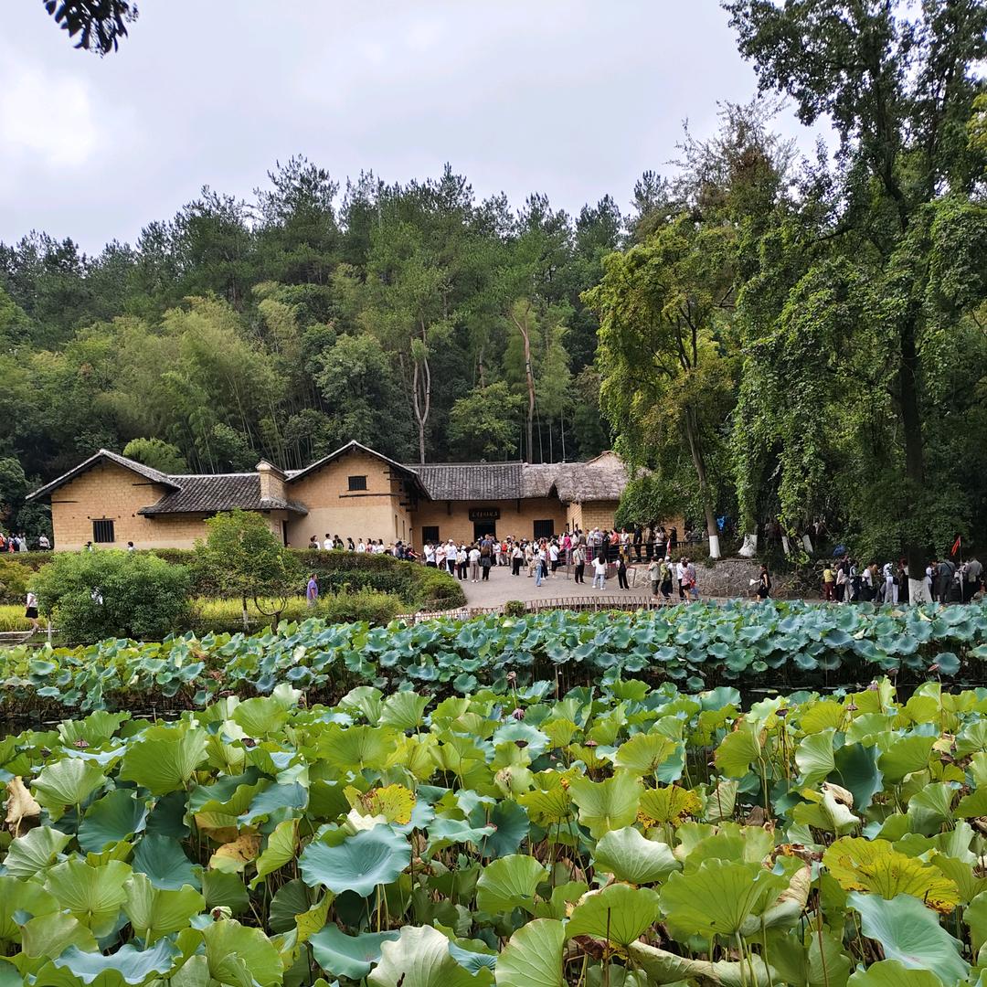 韶山旅游咨询