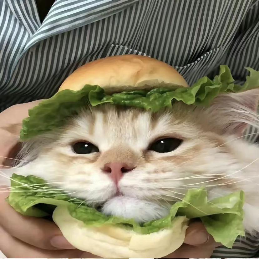 闪电猫