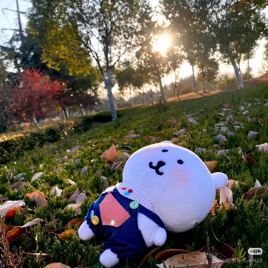 忧郁芝麻糊