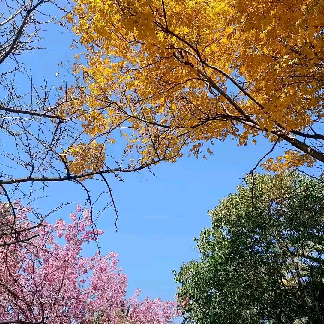路在脚下